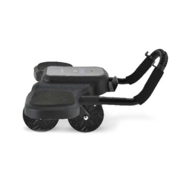 GREEN LION ABS EXERCISE ROLLER WITH DIGITAL DISPLAY