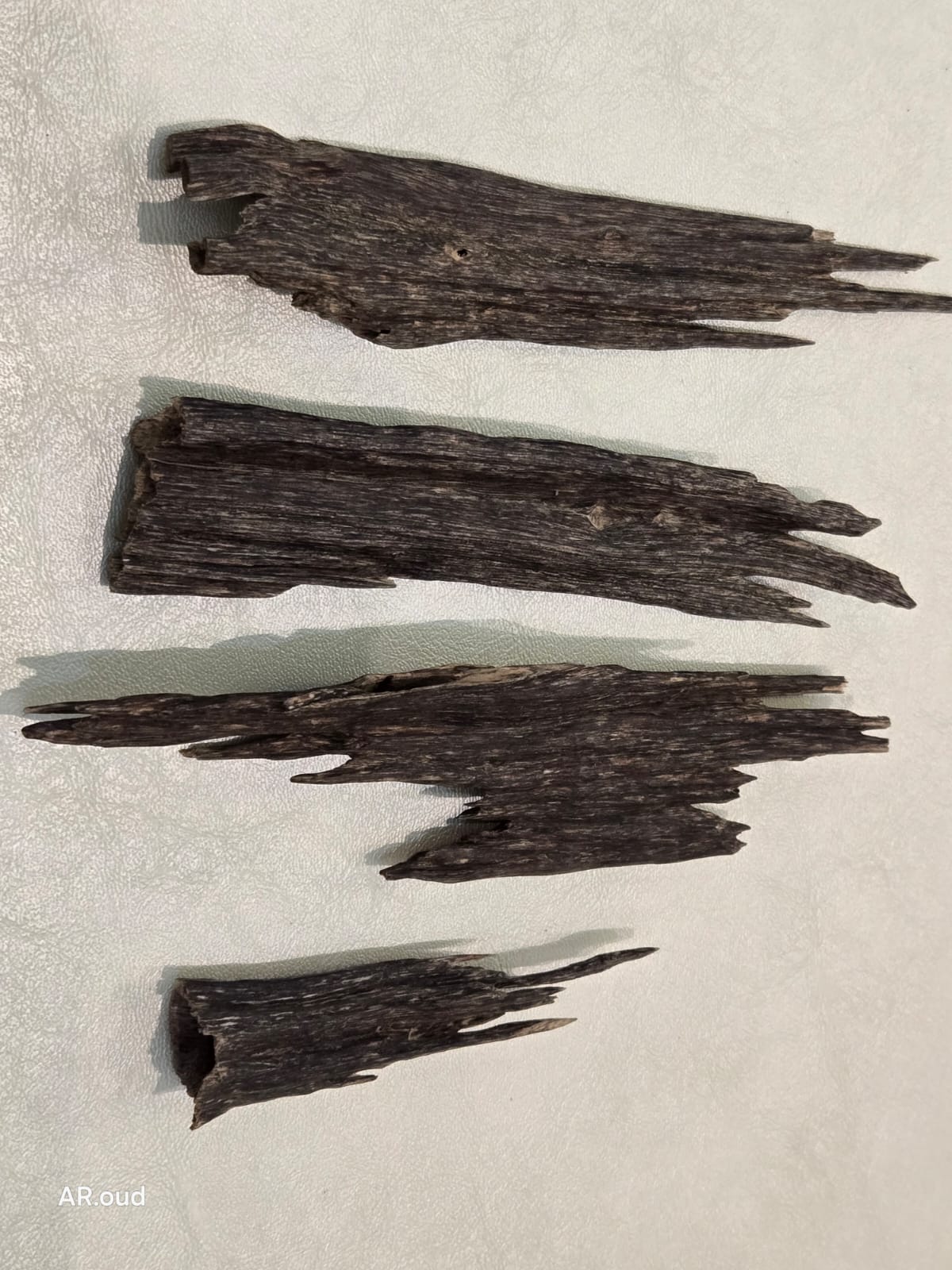 Nagaland Oud