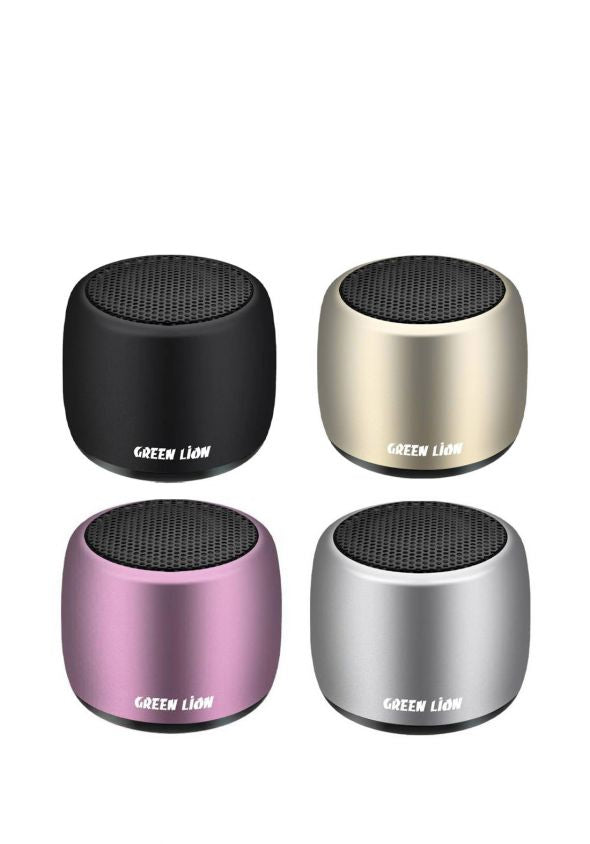 Green Lion Mini Speaker