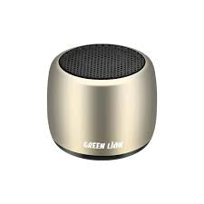 Green Lion Mini Speaker