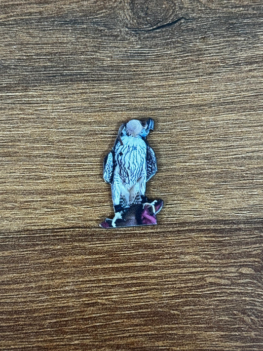Badge Falcon blind