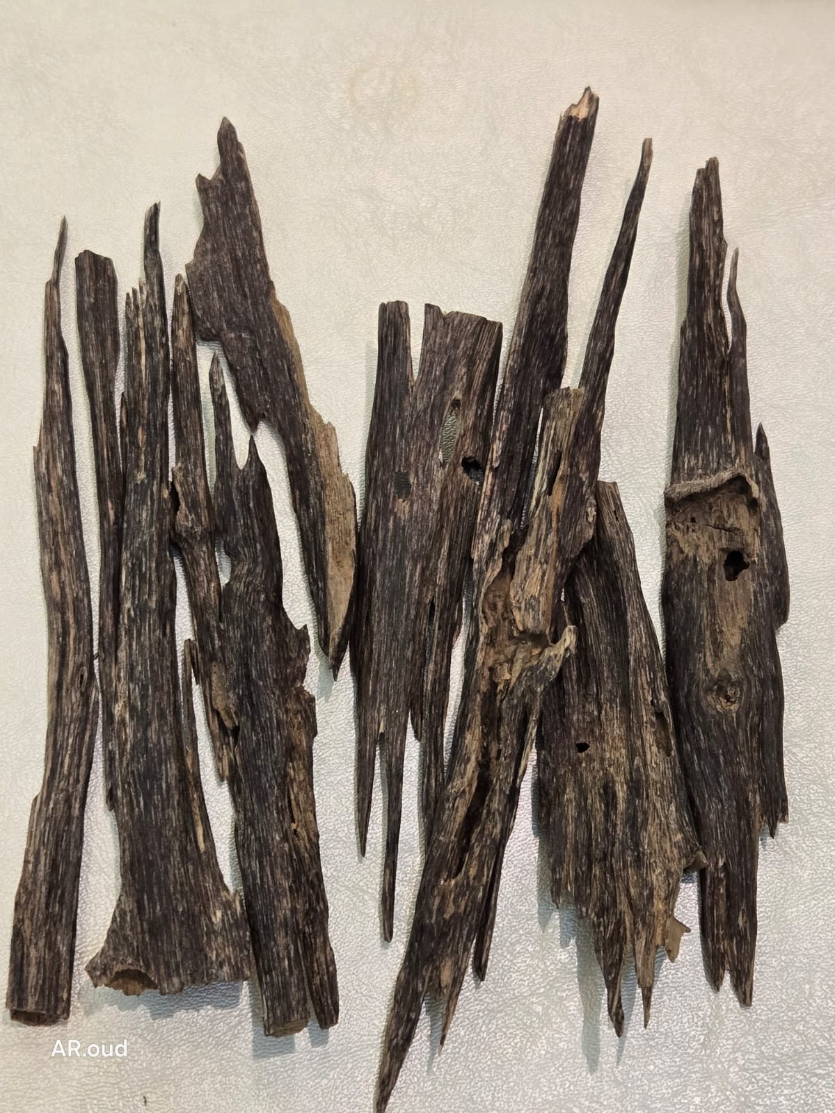 Majed alsabah Oud