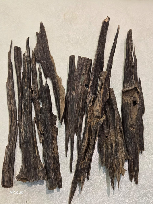 Majed alsabah Oud