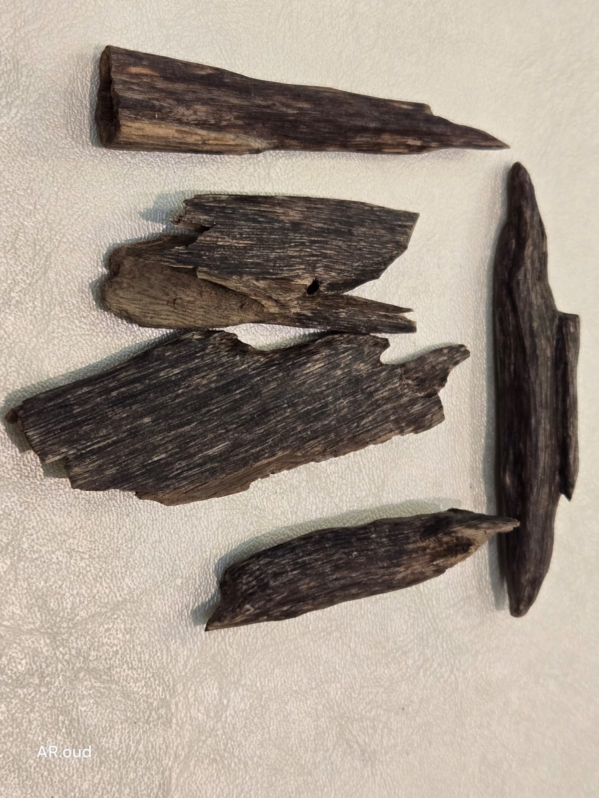 Siofi Zora Oud