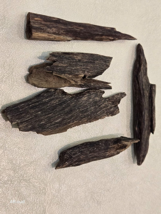 Siofi Zora Oud