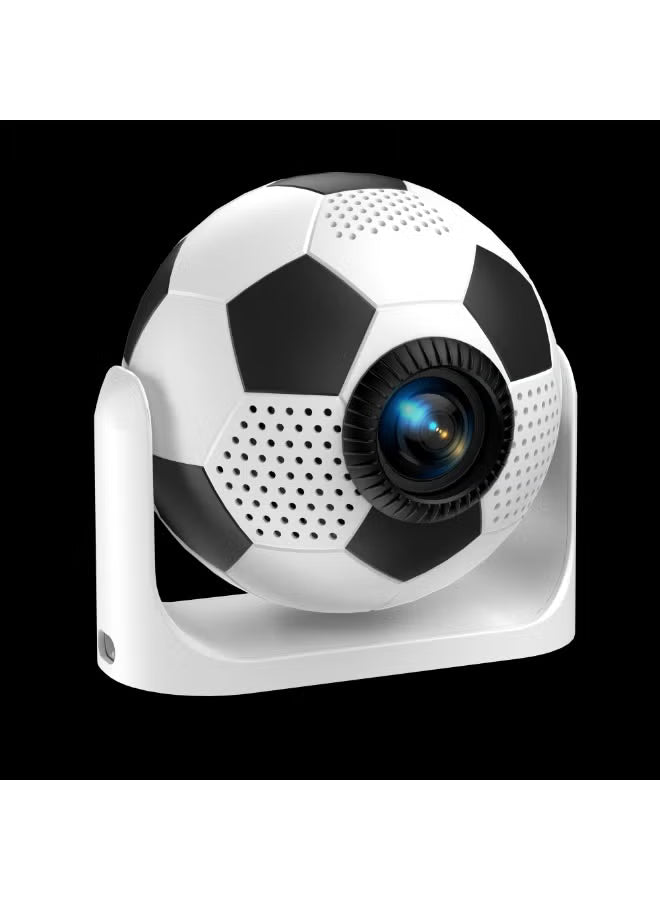 Projector