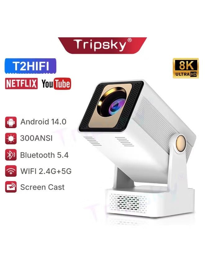 Projector